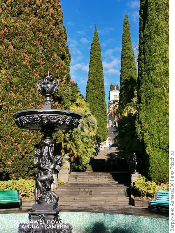 Дендропарк