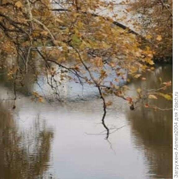 Мостики города