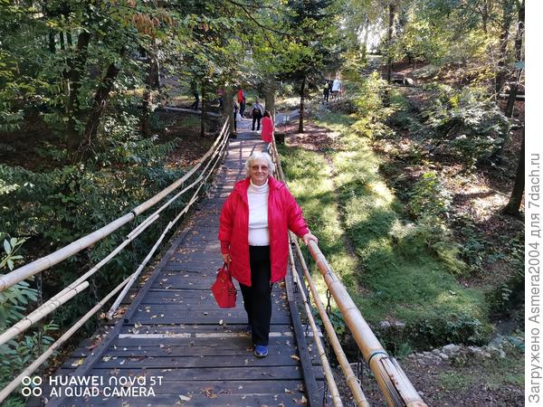 Верхний парк Японский сад