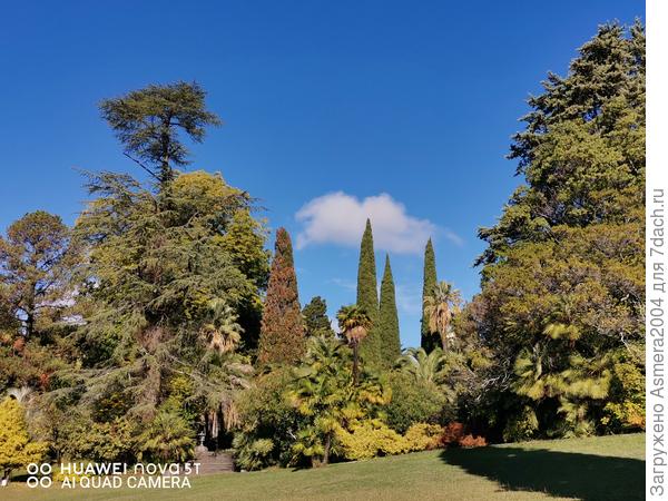 Дендропарк