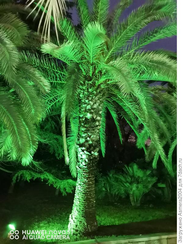 Каждый день гуляем до позднего вечера, проходя пешком от 10 до 25 км ежедневно