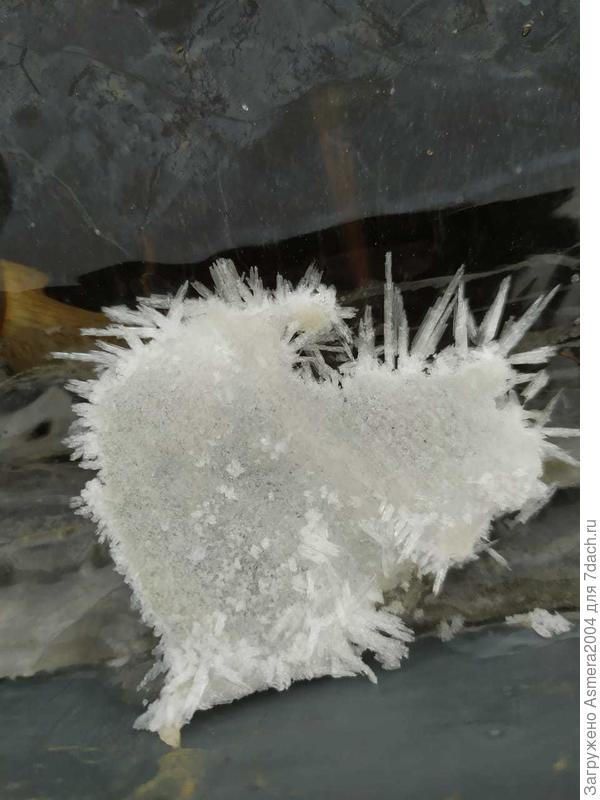 Сердце Снежной королевы