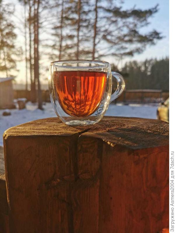 Прогулки в ближайшем лесу