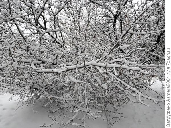 Снега очень много