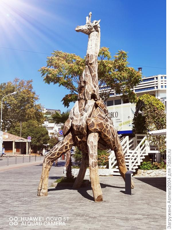 Символ моего ,2020 года.Сильный,гордый,индивидуальный .несущий радость всем кто его встретил