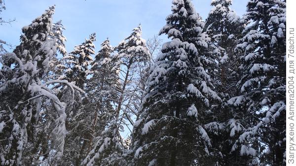 Подмосковье