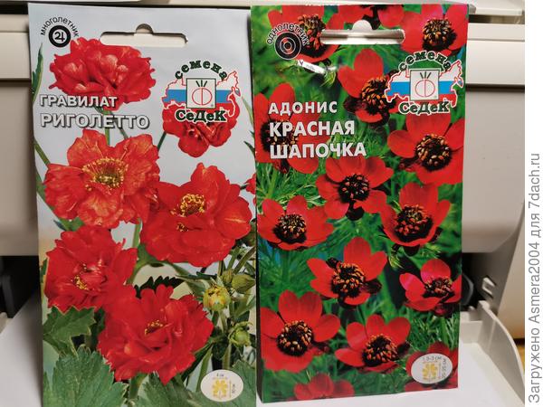 Семена