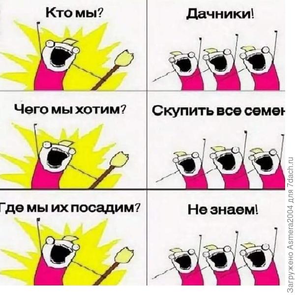 Дачники