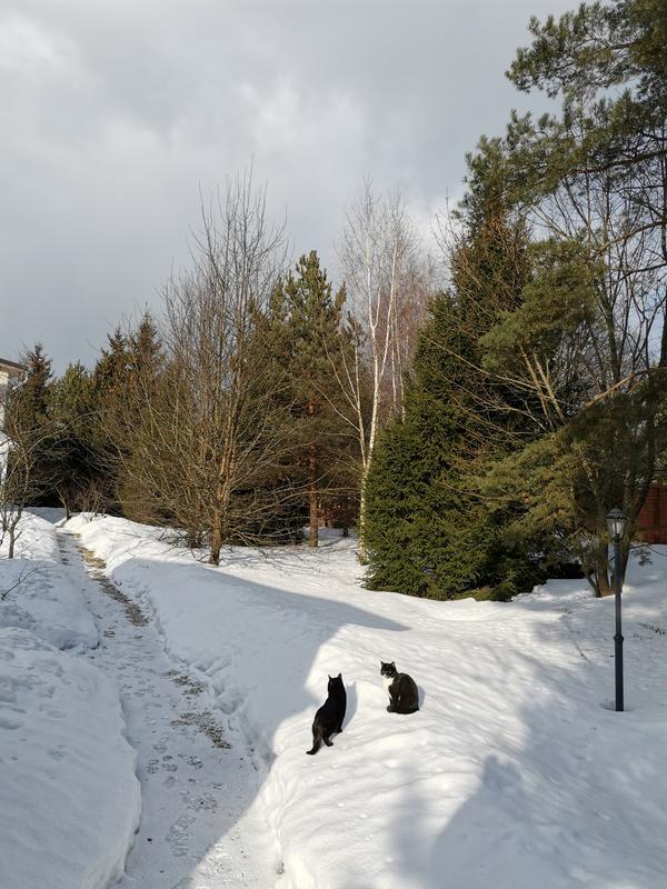 Обсуждают проблем в весенние