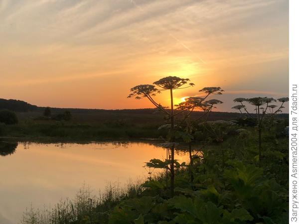 Замечать красоту вокруг нас