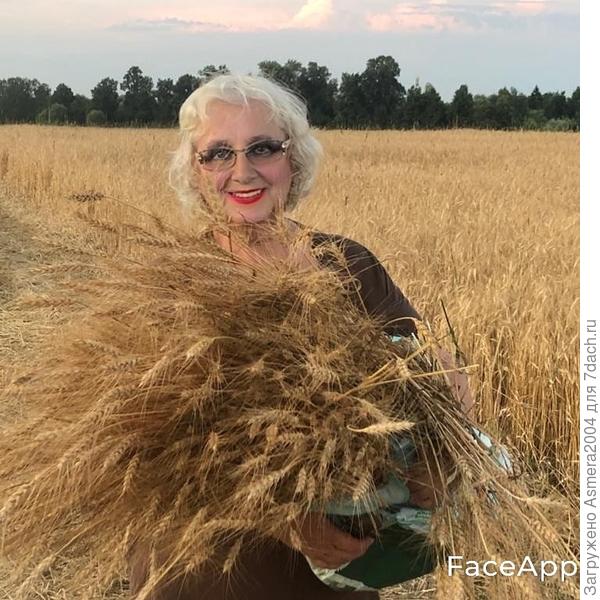 Время собирать урожай