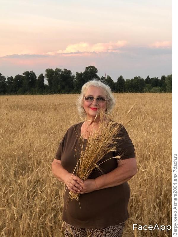 Люблю собирать рожь, а потом делать из неё снопики