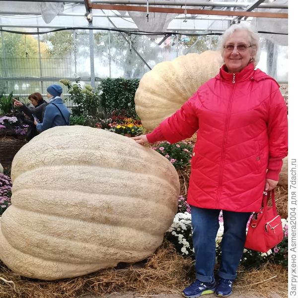 Вот она какая