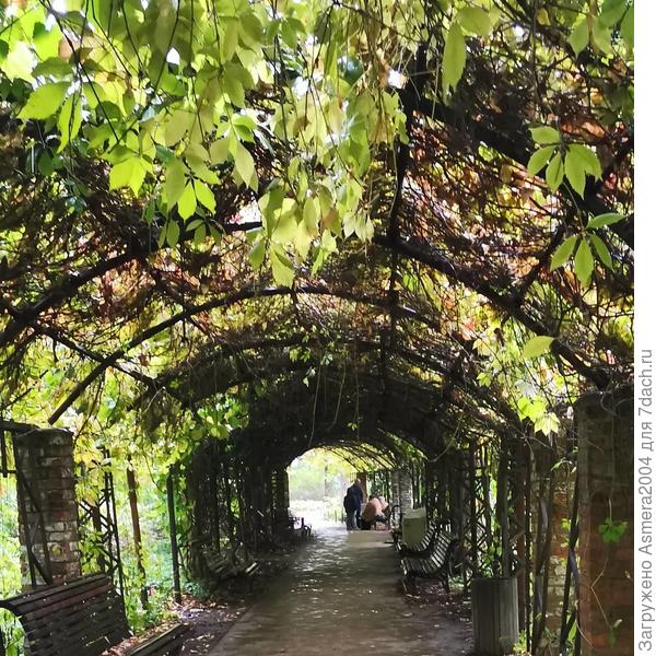 И в парке так уютно