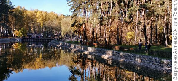 Прогулки в парке Елочки в  Домодедово