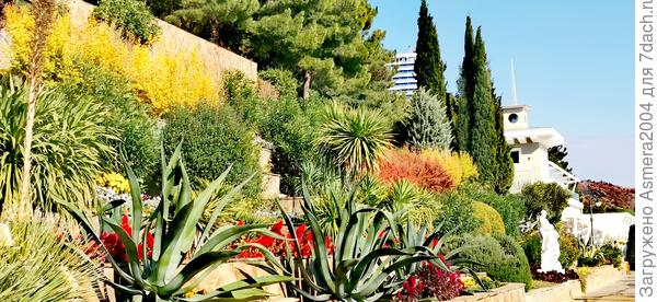 Парк Партенит