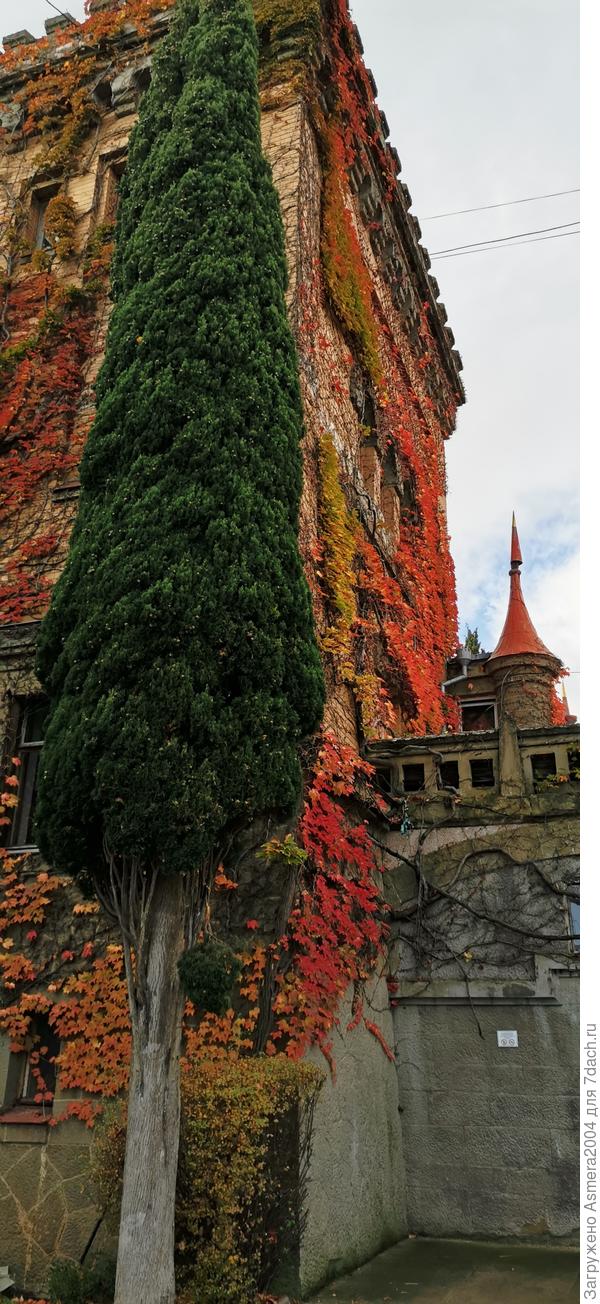 Вот такая красота сегодня в Алуште санаторий Утес