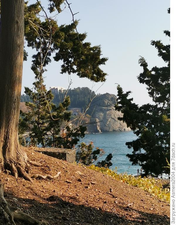 Вид на Утёс Плака