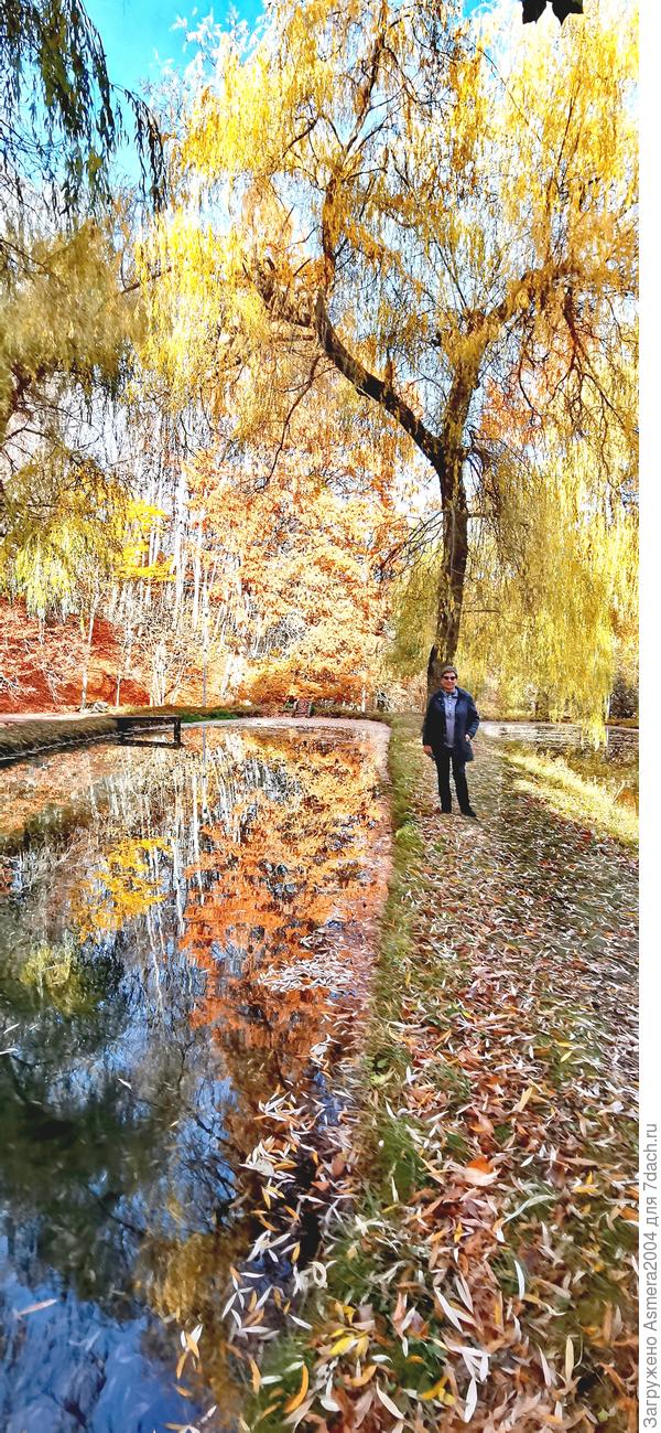 Форелевое хозяйство