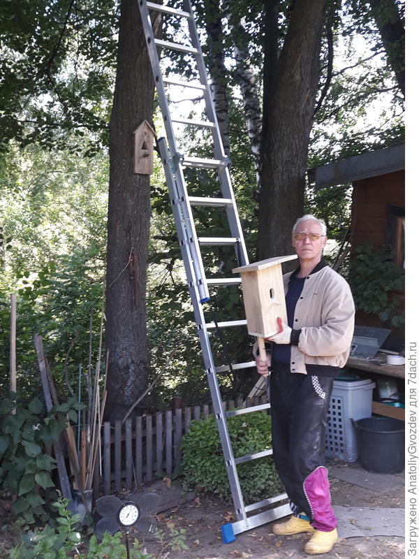 И птицы довольны