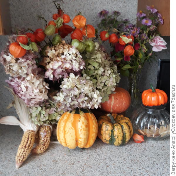 Осень пришла в наши дома