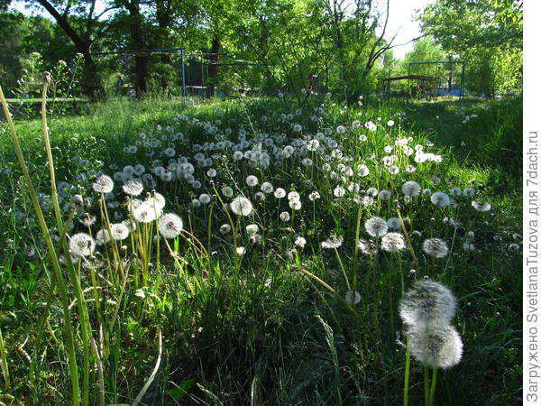 Невинномысск 2018.