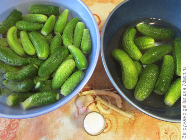 Подготовленные продукты для засолки