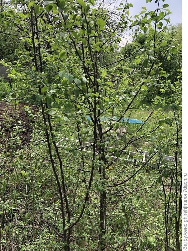 4. То же непонятное для меня