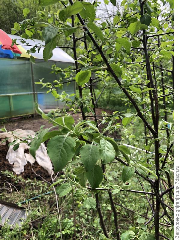 Заранее благодарен