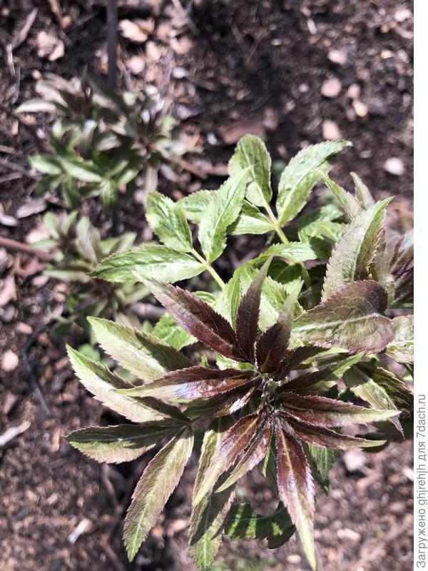 Заранее благодарен за ответы