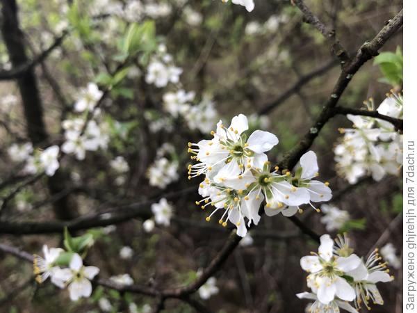Оно же совсем близко