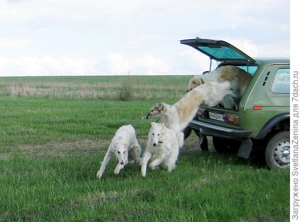 Очень вместительная