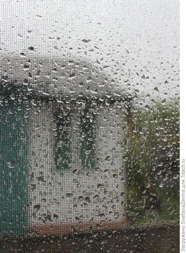 Вот так с вечера и до обеда...