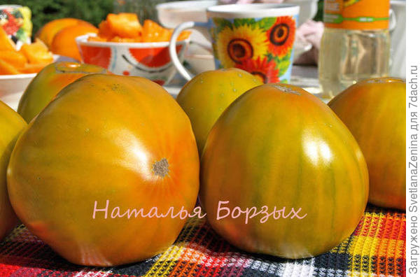 Сердце зеленое