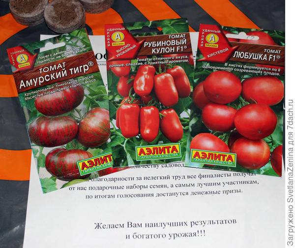 Помидоры
