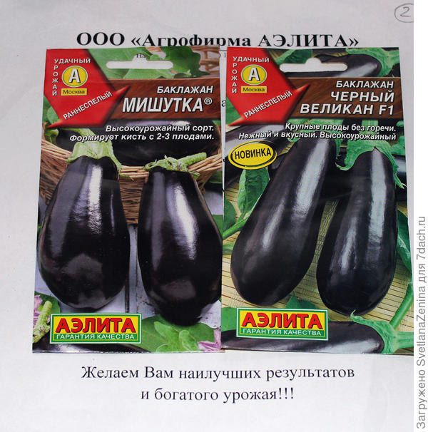 баклажаны