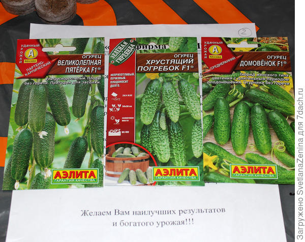 огурчики