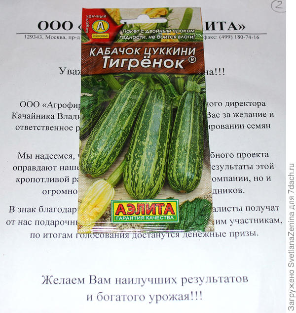 Тигрёнок