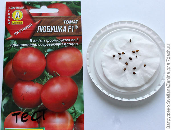 на диске