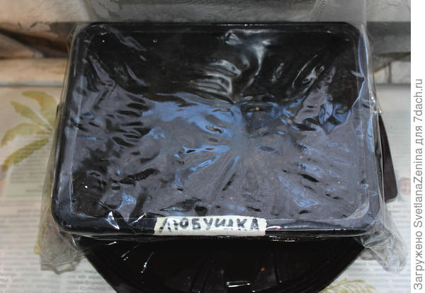 парничок с Любушкой