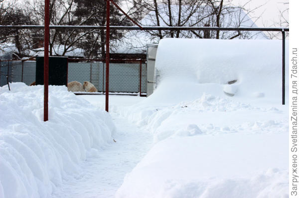 глубина дорожки тоже приличная
