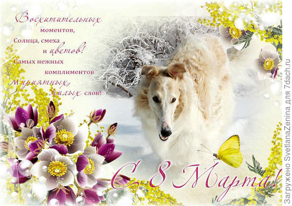 Март в сугробах, ну и пусть, всё равно я улыбнусь!