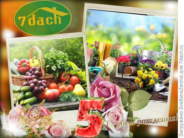 с 5-ти летием!