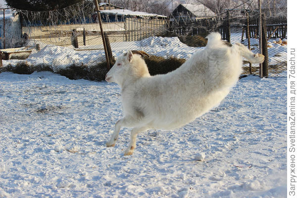 Приземляется ))