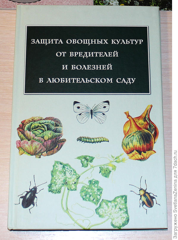 защита овощей