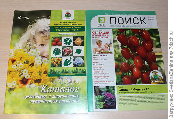 луковичные и журнал