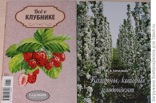 клубники и колонны