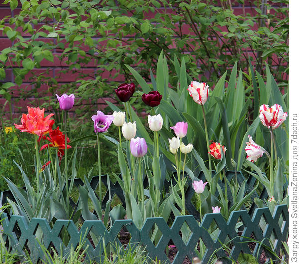 Мои неизвестные приобретения