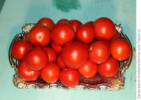 с двух кустов