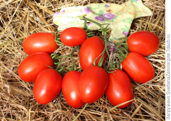 кисть Рубинового кулона